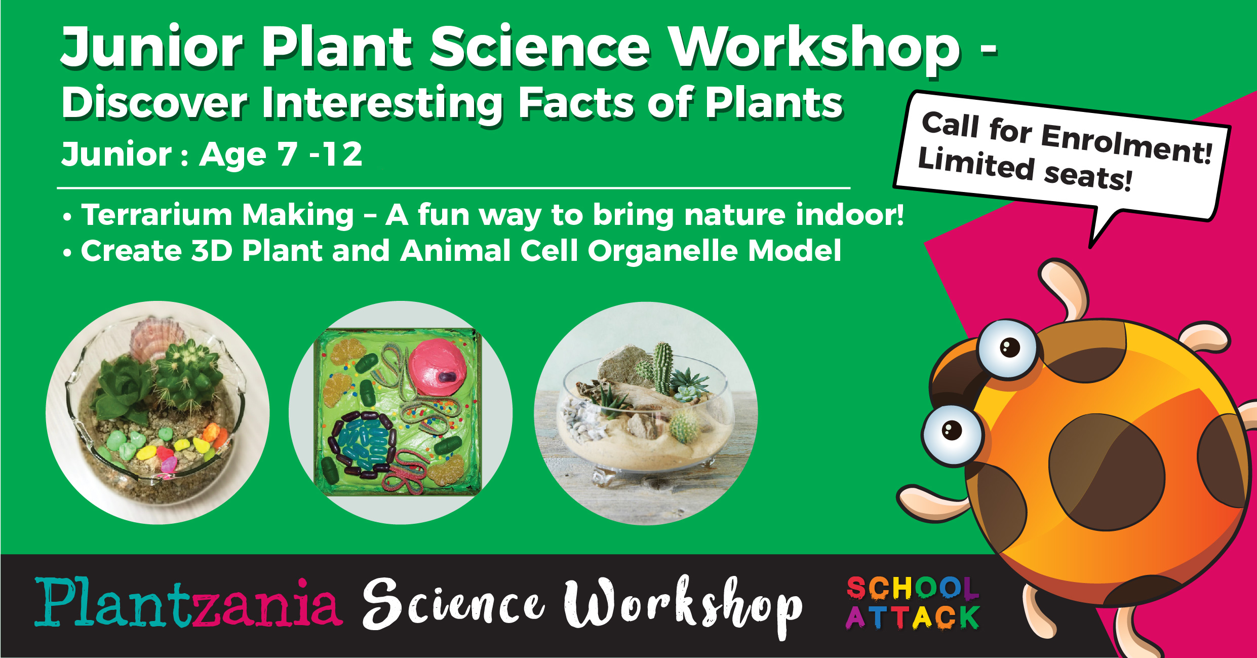 Junior Plant Science Workshop – Discover Interesting Facts of Plants –  Plantzania Sdn Bhd